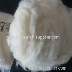 Carded Sheep Wool Fiber