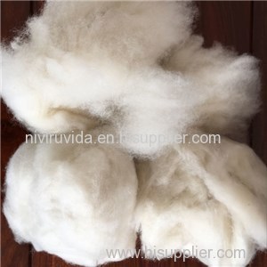 Carded Sheep Wool Product Product Product