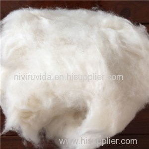 Dehaired Cashmere Fine Micron