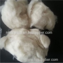 Baby Sheep Wool Waste