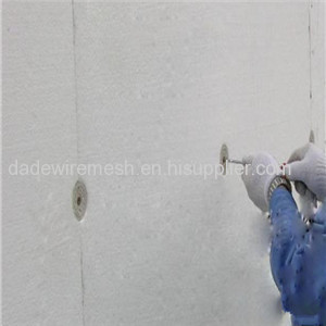 Expansion Insulation Wall Fastener with Plastic Nail from Anping