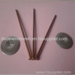 Plastic Cap Heat Preservation Nail Supplier in China