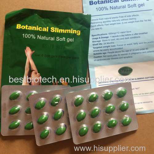 Hoodia Cactus For Weight Loss