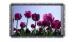 HD 17 inch Industrial Touch Screen Monitor 800 x 600 Support Multi Language
