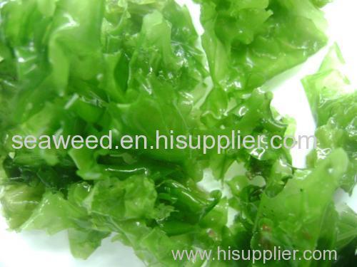 sea lettuce (ulva lactuca) seaweed dried