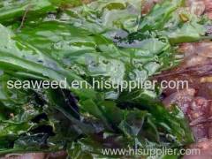 sea lettuce (ulva lactuca) seaweed dried