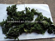 sea lettuce (ulva lactuca) seaweed dried