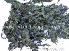 SeaweeD DrieD sea lettuce (ulva lactuca)