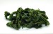 sea lettuce (ulva lactuca) / GREEN SEAWEED (RAW)