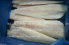 FROZEN HADDOCK FISH FILLET