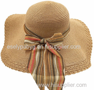 Chinese Floppy Straw Hat