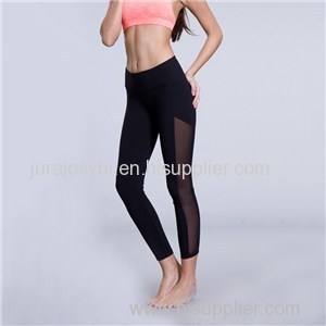 Bodybuilding Leggings Product Product Product