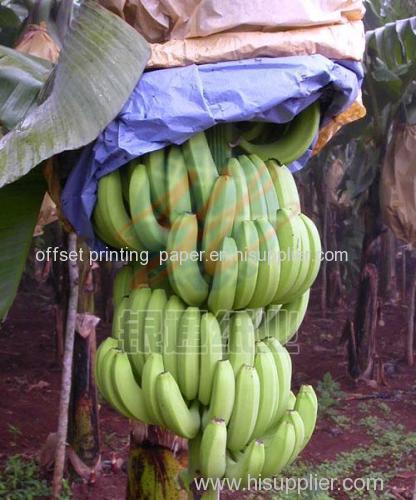 banana paper bag with custom logo