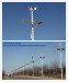 cob led street light