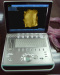 Sonostar 2016 hot veterinary portable ultrasound scanner pig pregnancy for sale SS-9