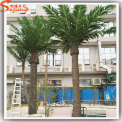 Factory sample artificial palm tree artificial date palm trees