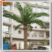 6 meter high artificial date palm tree plastic trees for outdoor decoration