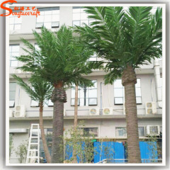 6 meter high artificial date palm tree plastic trees for outdoor decoration