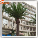 6 meter high artificial date palm tree plastic trees for outdoor decoration