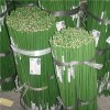 Tonkin Bamboo Poles Product Product Product