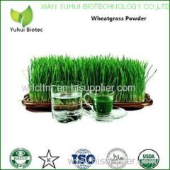 wheatgrass powder organic wheatgrass powder wheat grass powder wheatgrass extract