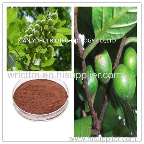 pygeum africanum bark extract powder pygeum africanum bark extrac pygeum bark p.e.