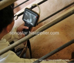 Sonostar good quality handheld portable vet ultrasound scanner pig veterinary ultrasound V6