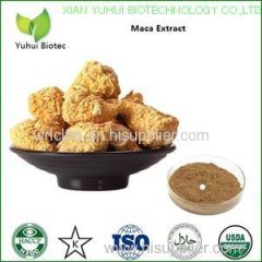 Maca Extract maca root powder maca root extract maca powder organic maca powder