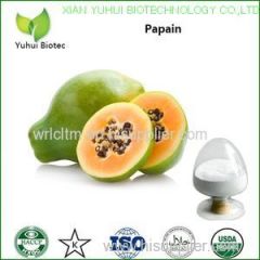 papain powder papain extract price papain papain enzyme papain enzyme powder