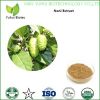 Noni Extract noni powder noni fruit extract noni p.e noni fruit powder