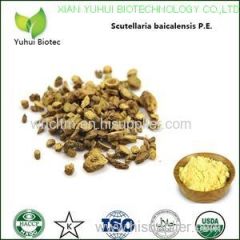 baicalin baicalin 95% baicalin extract baicalin powder baicalin extract powder