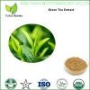 green tea extract green tea extract powder bio green tea extract green tea extract egcg