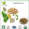 ginkgo biloba softgel capsule ginkgo biloba softgel capsule 1000mg ginkgo biloba softgel