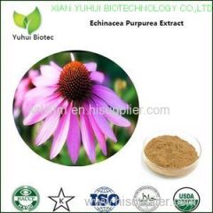 echinacea purpurea extract echinacea extract