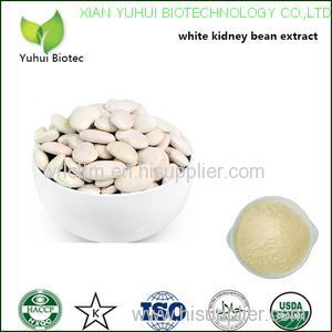 white kidney bean extract powder phaseolamin phaseolin white kidney bean p.e.