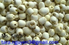 White and Black lotus seed