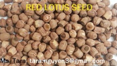 Red LOTUS SEED/Lotus Root/ Lotus leaf