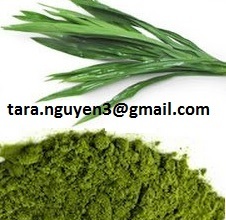 DRY PANDAN LEAF/ PANDAN POWDER