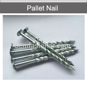 Screw shank nails pallet nails