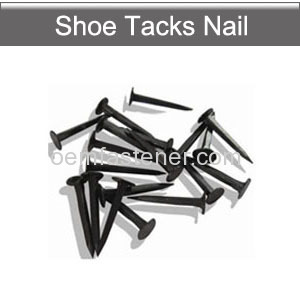 Shoe tacks shoe nails