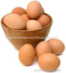 chicken egg for sale