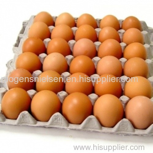 Fresh chicken egg white and brown size : 40g-50g-60g-65g-70g