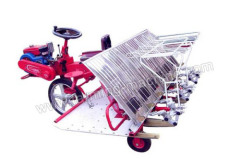 Hot Sale Paddy Transplanter