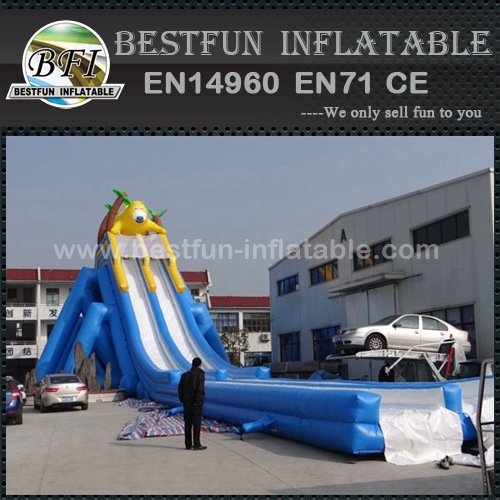 Jumbo inflatable water slide