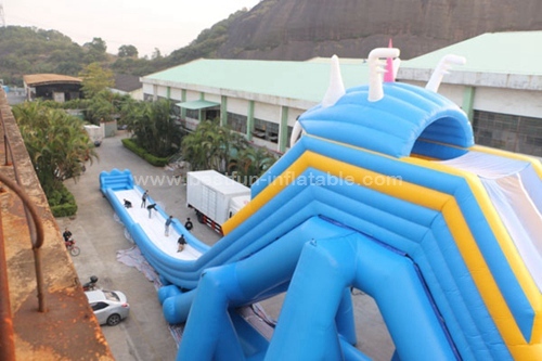 Inflatable triple hippo water slides