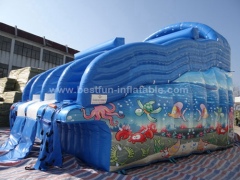 Small Family Swimming Pool Water Slide