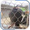 Stainless Steel Bird Netting/Parrot Cage Mesh/Bird Mesh