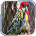 Stainless Steel Bird Netting/Parrot Cage Mesh/Bird Mesh