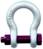 Bolt type anchor shackle