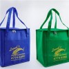 Non Woven Cooler Bag